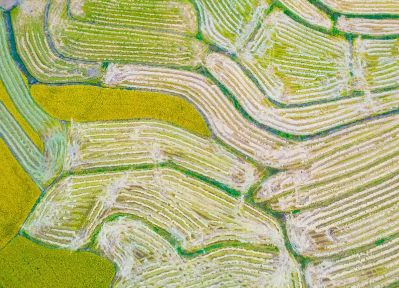 常州植保无人机选购指南:2024年农用无人机型号与价格参考正文配图 1